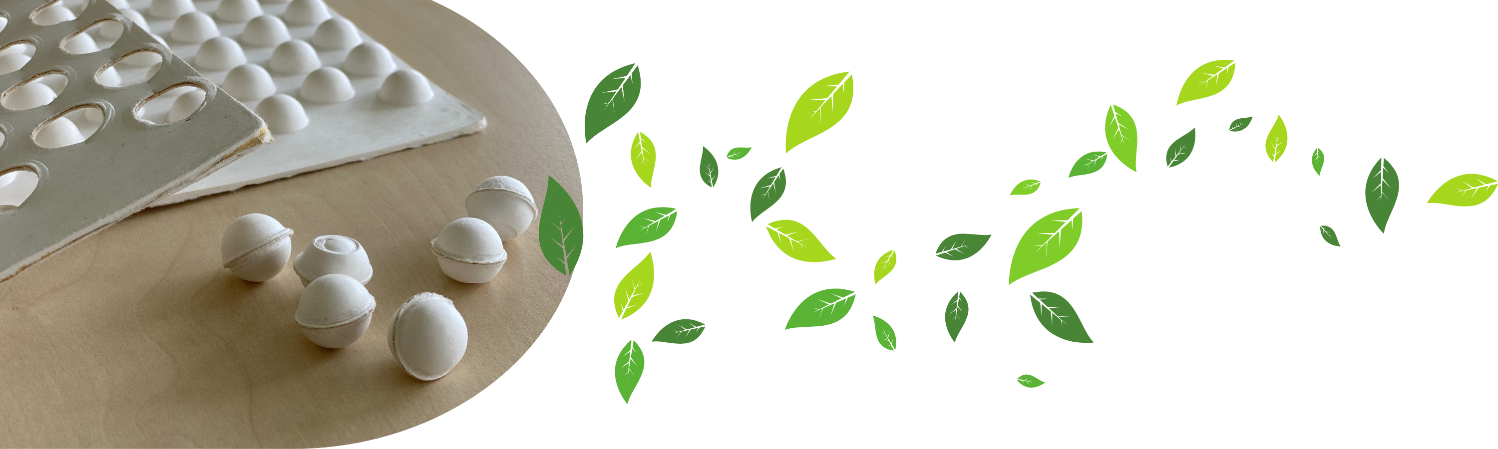 Biodégradables, Compostables et Recyclables - Vaisselle jetable