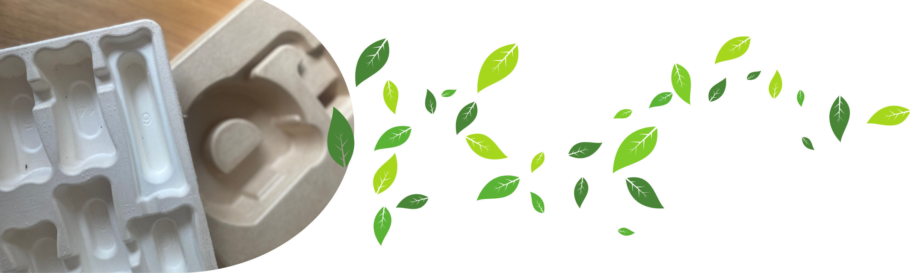 Emballages Écologiques, Biodégradables, Compostables et Recyclables -  Cellulopack - Cellulose Moulée