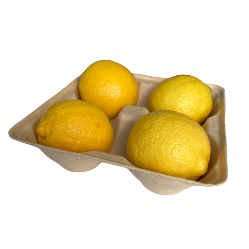 barquettes fruits Cellulopack