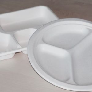 Vaisselle compartimentée Cellulose